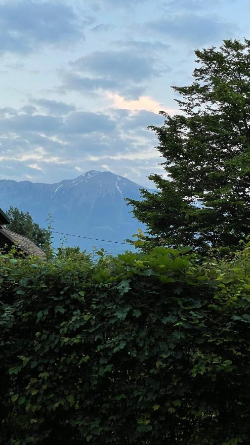 Mika'S Garden Villa Bled Esterno foto